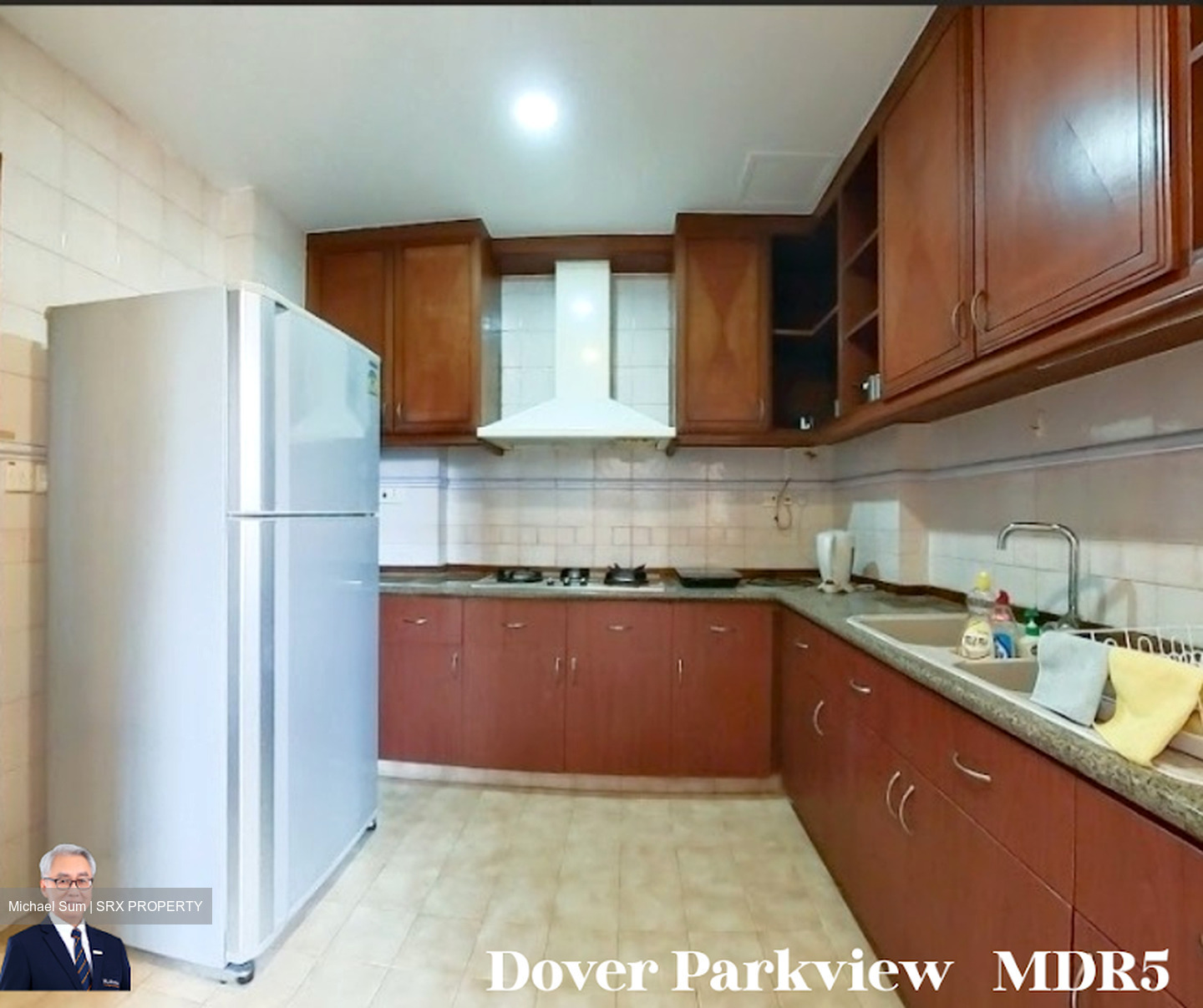 Dover Parkview (D5), Condominium #502855571